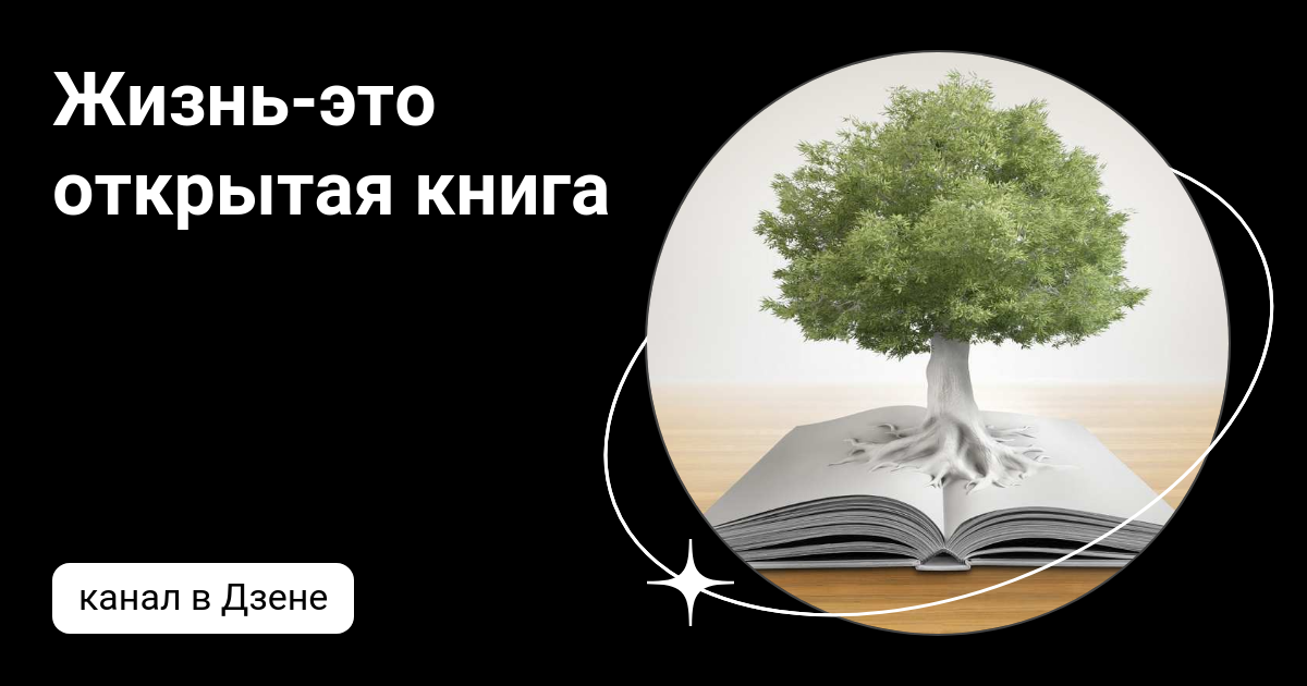 Жизнь-это открытая книга | Дзен