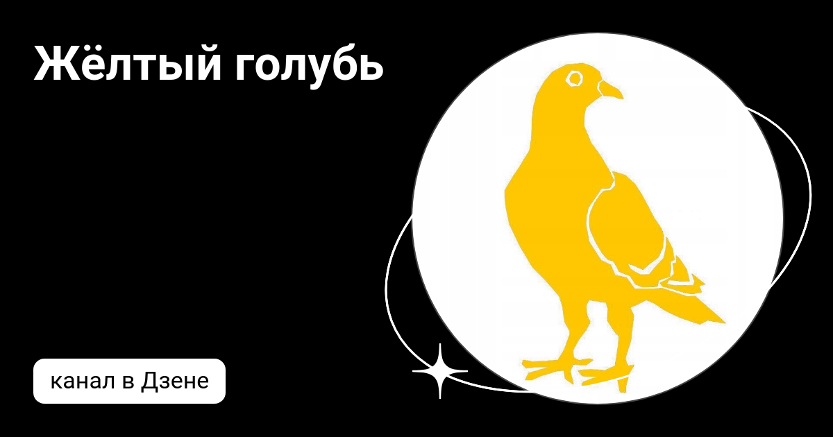 Жёлтый голубь | Дзен