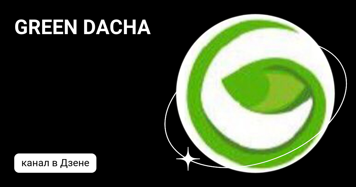 GREEN DACHA | Дзен