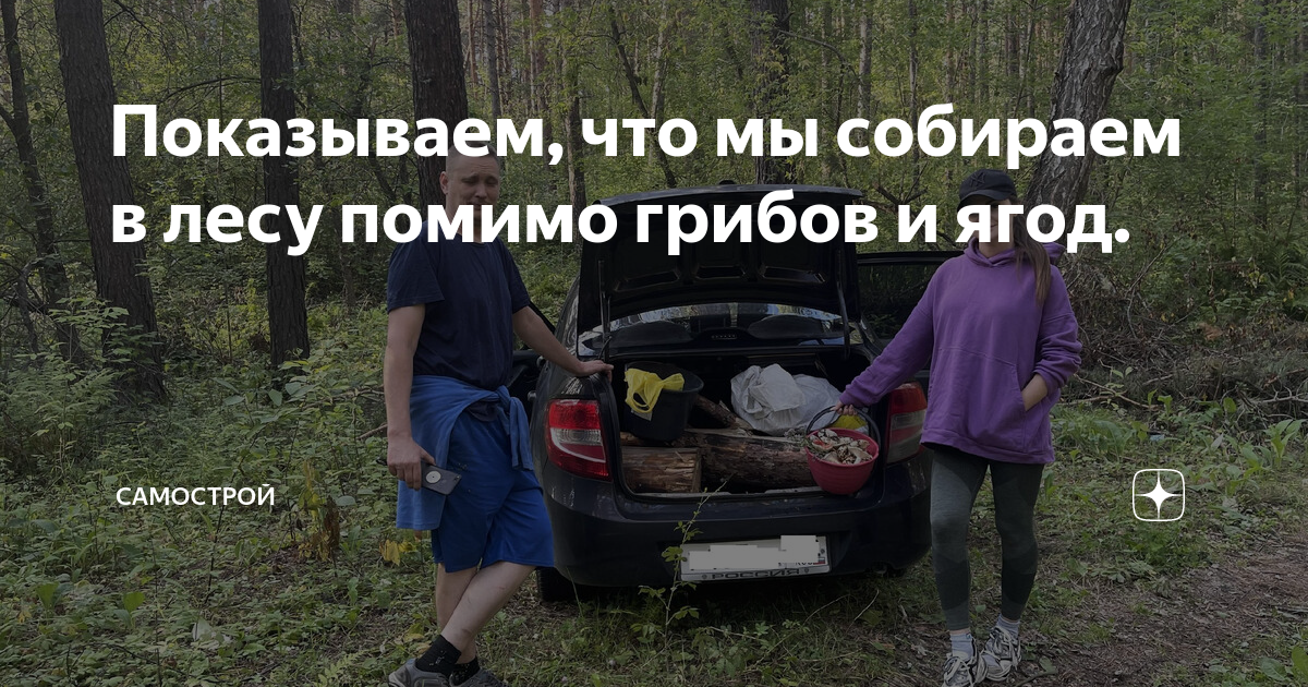 мы собрали в лесу много грибов
