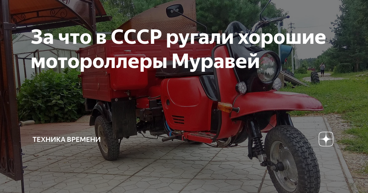 схема династартера муравей