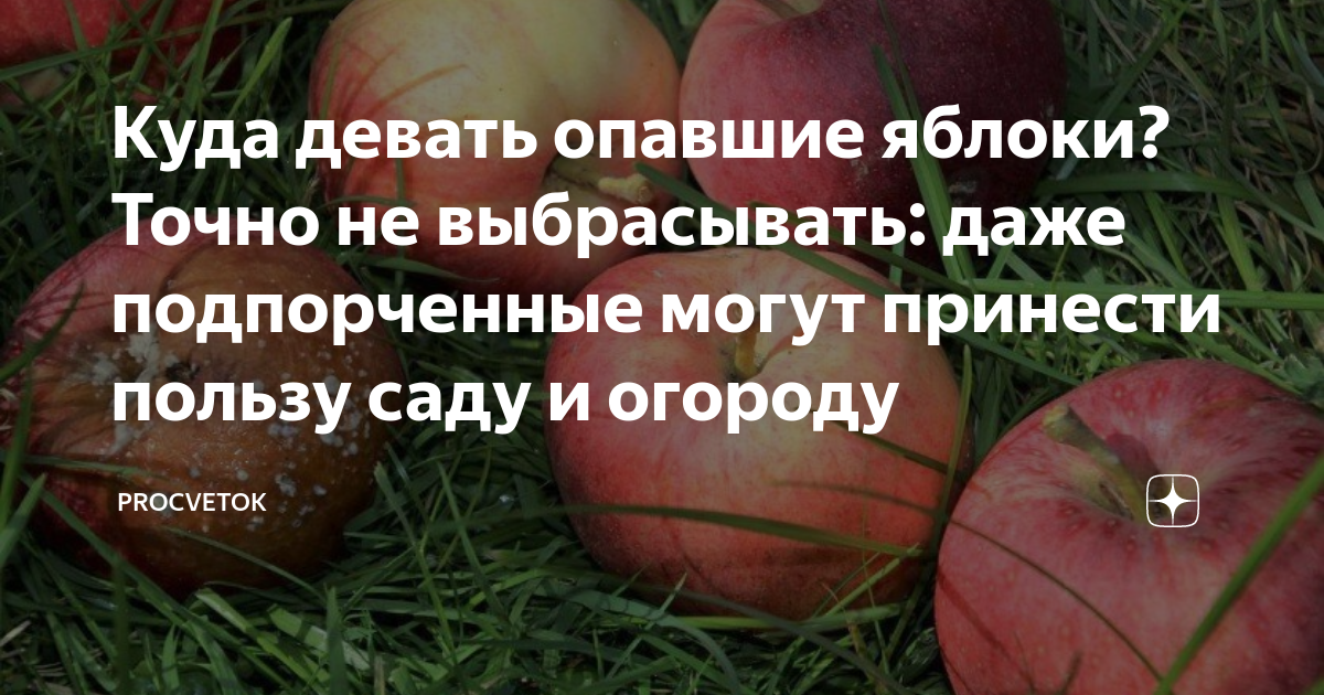 Пример какую пользу может принести точно сформулированный продукт каждой задачи в боевом плане