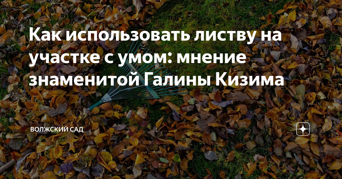 Как использовать листву на участке с умом: мнение знаменитой Галины ...
