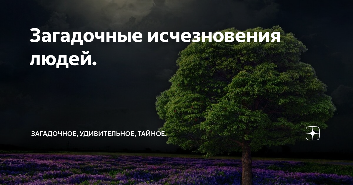 Пропажа людей таинственные. Загадочные исчезновения людей список. Ларс миттанк найден живым. Джаред атадеро пропавший. Исчезновение джареда негрете.