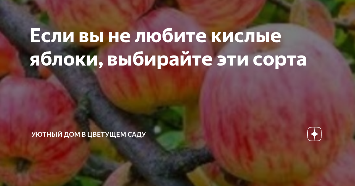 Если вы не любите кислые яблоки, выбирайте эти сорта | Эффективно и ...