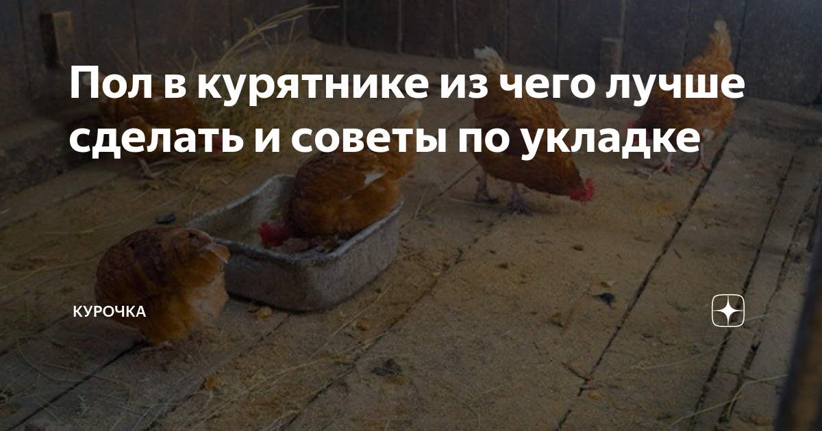 Пол в курятнике из чего лучше сделать и советы по укладке | Курочка | Дзен
