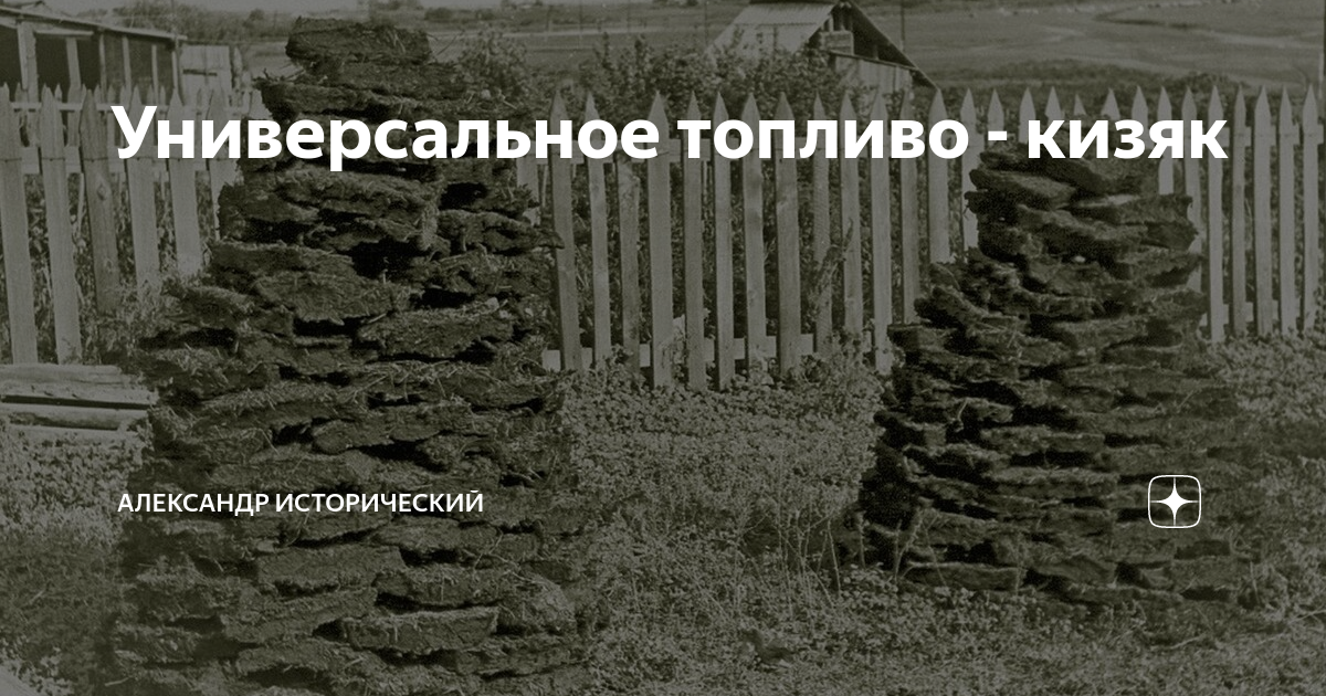 Универсальное топливо - кизяк | Александр Исторический | Дзен