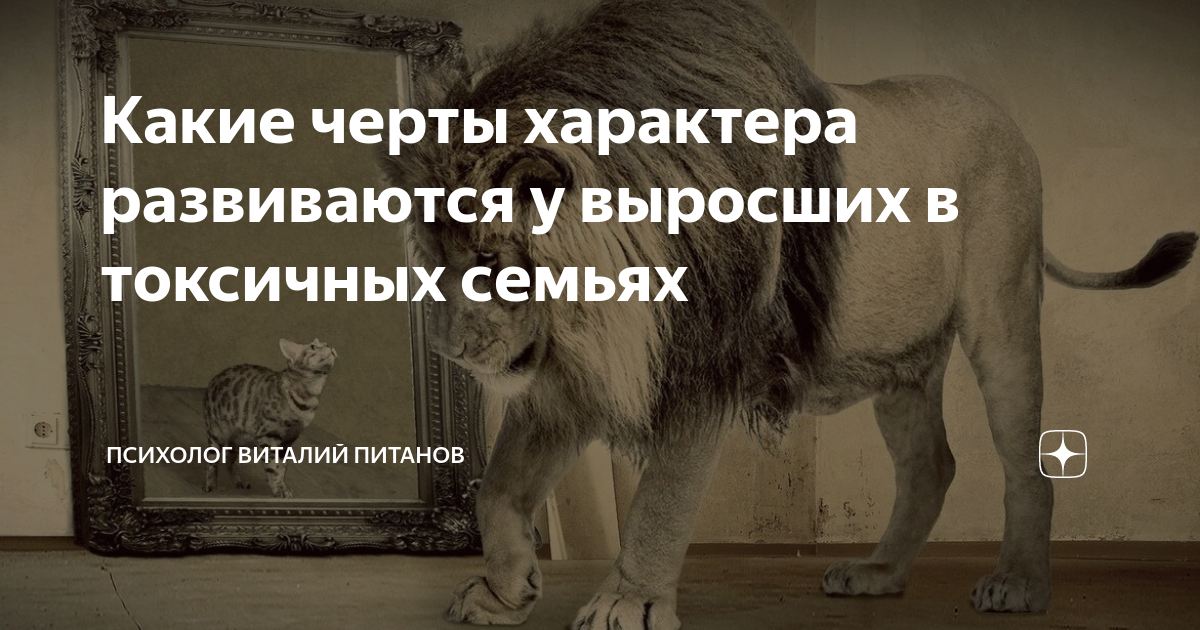 черты характера человека список. качества человека список. особенности характера ребенка. истории людей о питомцах. какие черты характера развивает забота о животных.