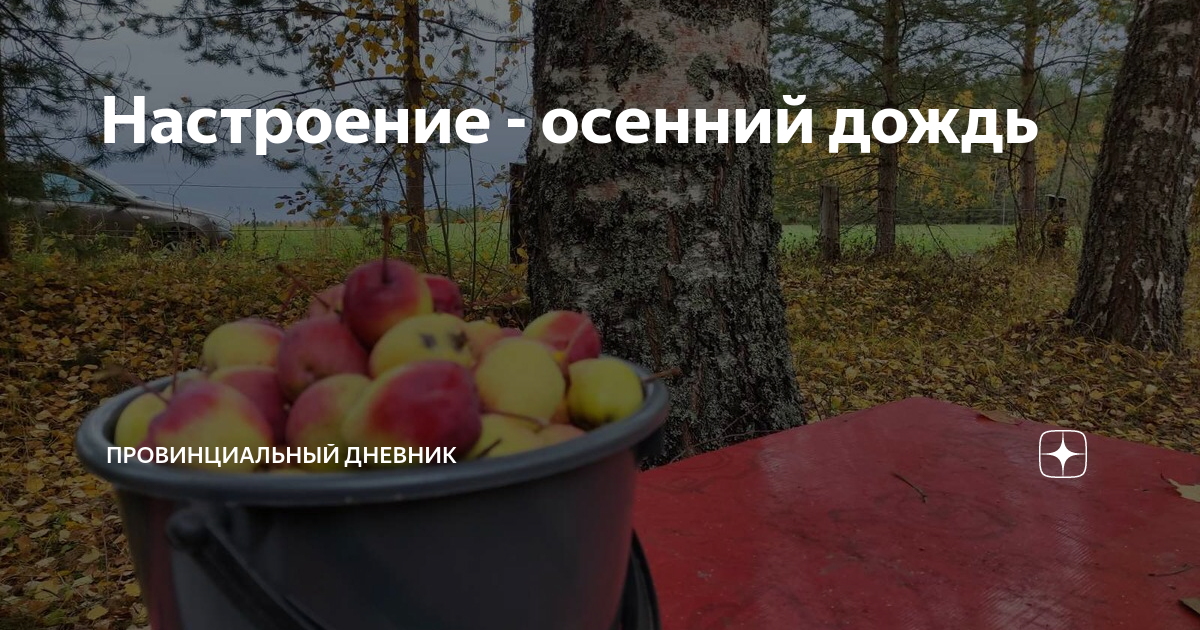 Настроение - осенний дождь | Провинциальный дневник | Дзен