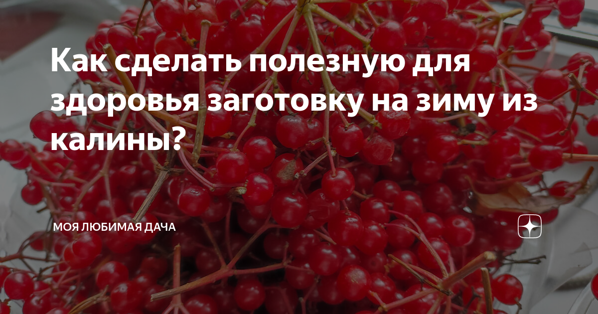 Как размножить калину красную. Калина витамины. Какие витамины в калине. Лимонник китайский ягоды использование. Вино из красной смородины пропорции.