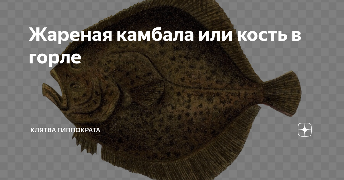 Камбала вес. Камбала ударение правильное. Камбала или камбала ударение. Речная камбала. Камбала или камбала ударение.