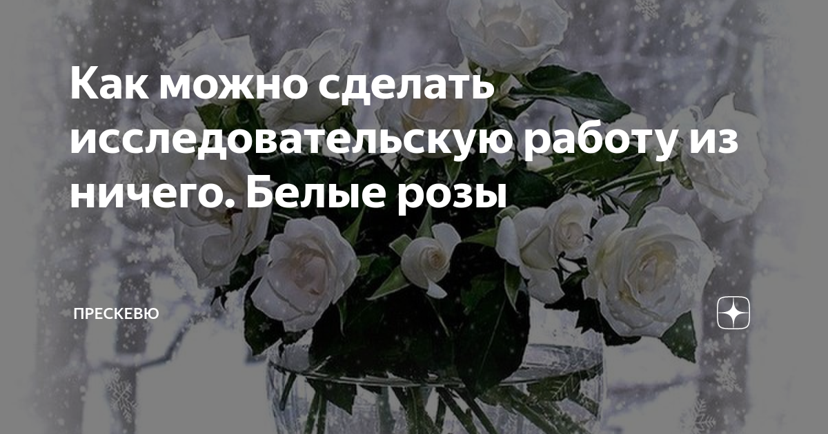 Белые розы цитаты. Стих про розу. Стих про розу. Стих про розу цветок. Красивые высказывания о розах.