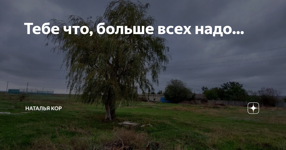 Тебе что, больше всех надо... | Наталья Кор авторские рассказы | Дзен