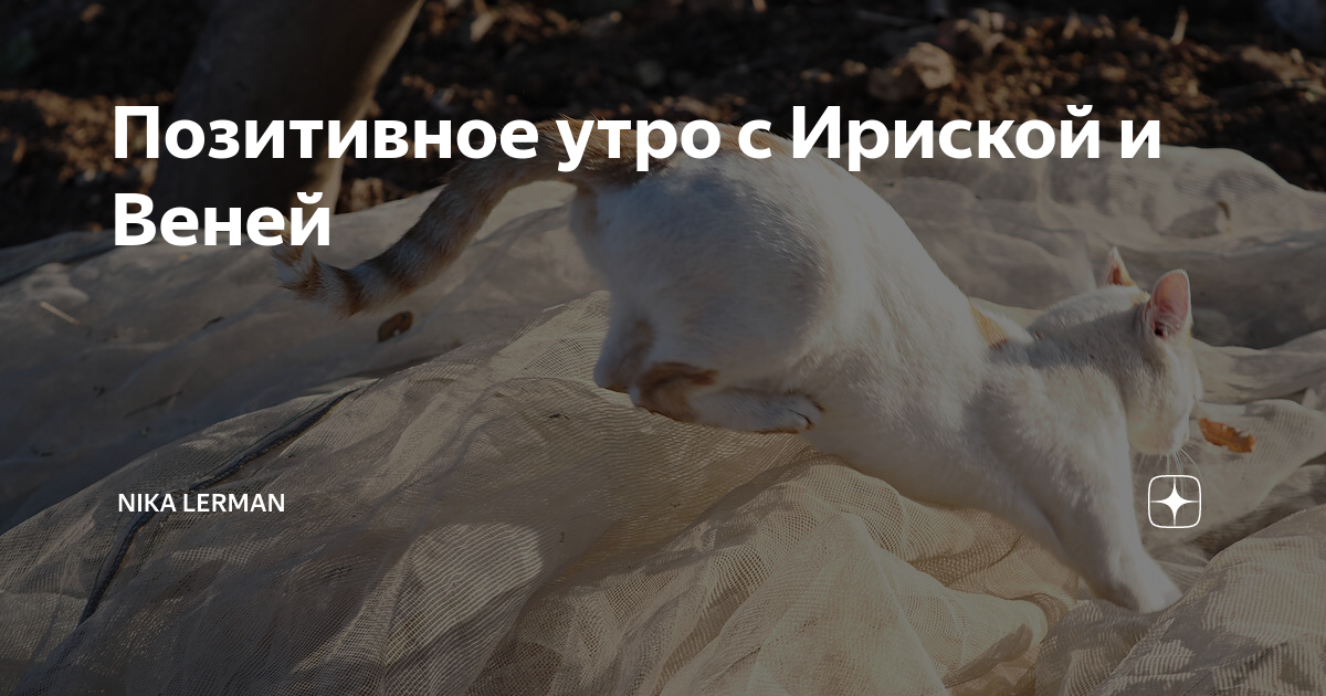 Раф с ириской