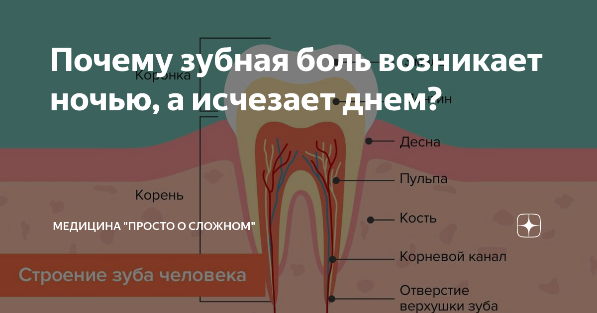 Причины почему болит зуб