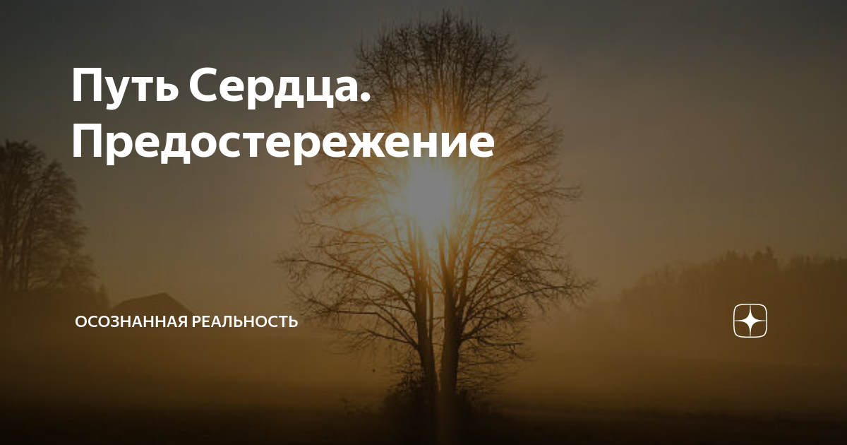 Канал осознанная реальность. Осознанная реальность. Осознанная реальность дзен. Потеряла судьбу.