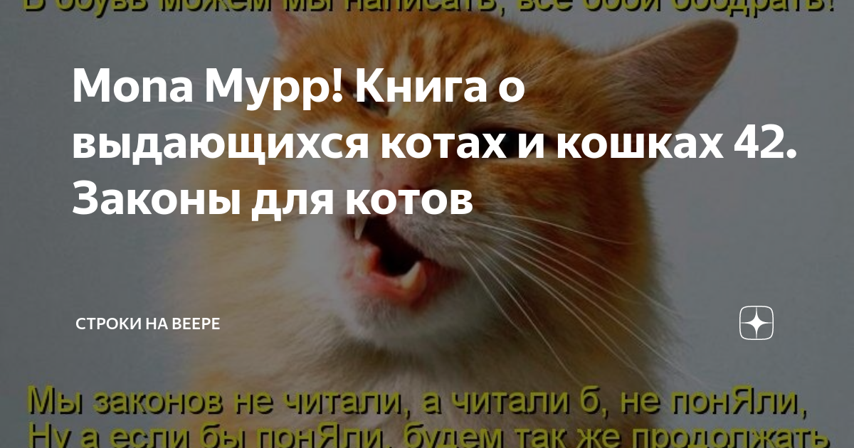 Рассказ котенок. Мысли кота. Коте строки это. Стих про кошечку. Стишки про кошек.