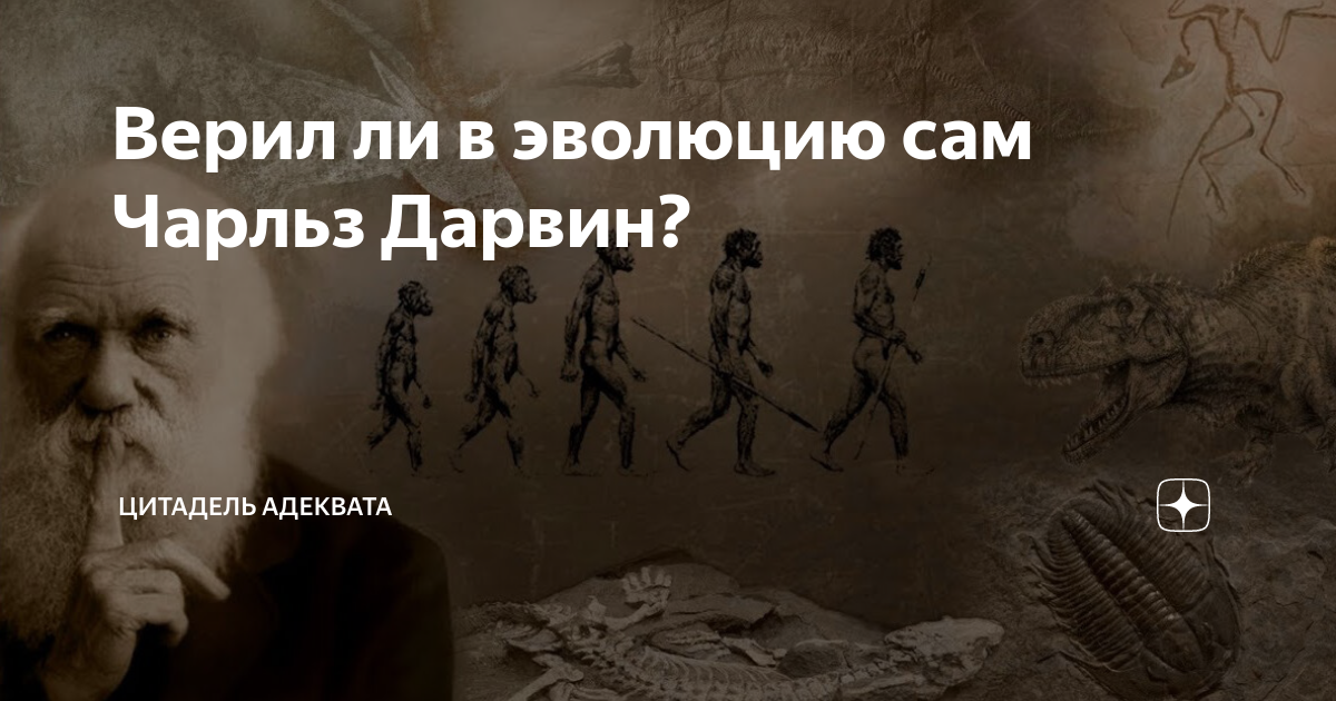 Мысли великих людей. Великие учёные о вере в бога. Чарльз дарвин цитаты. Чарльз дарвин цитаты о боге. Цитаты ученых о боге.