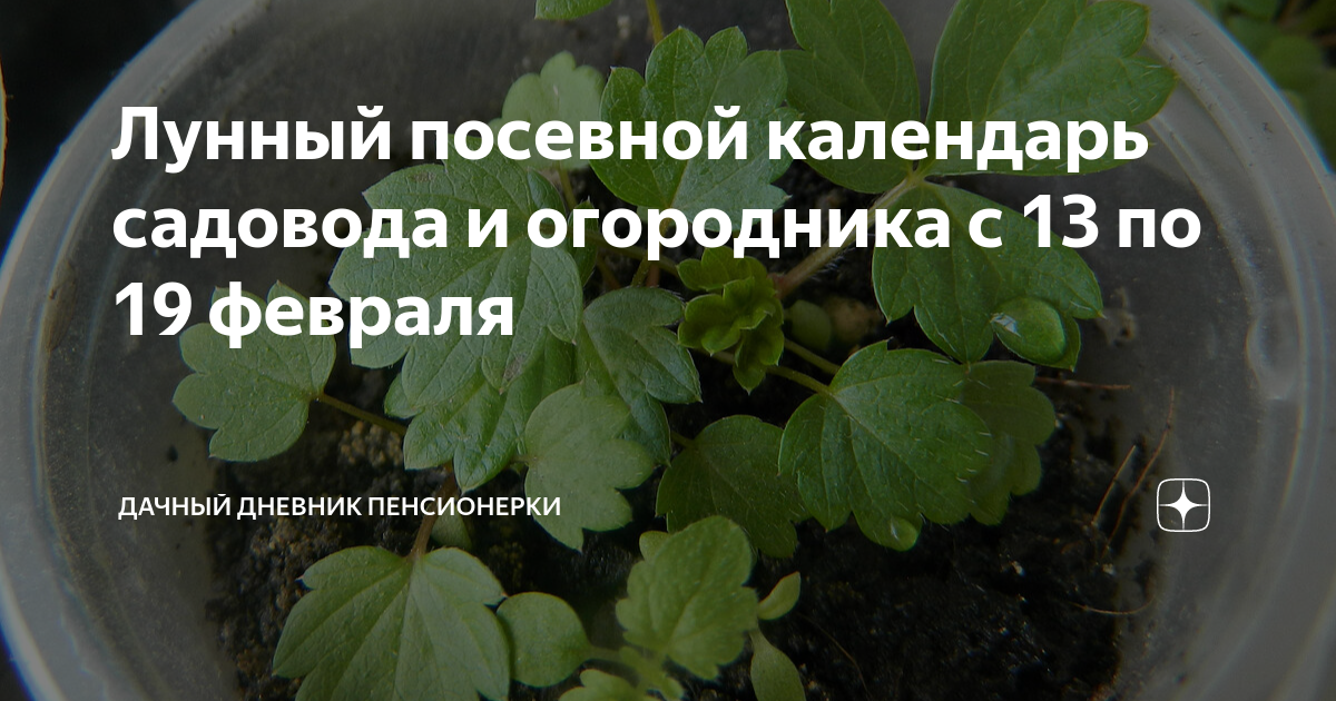 Дачный лунный посевной календарь садовода огородника