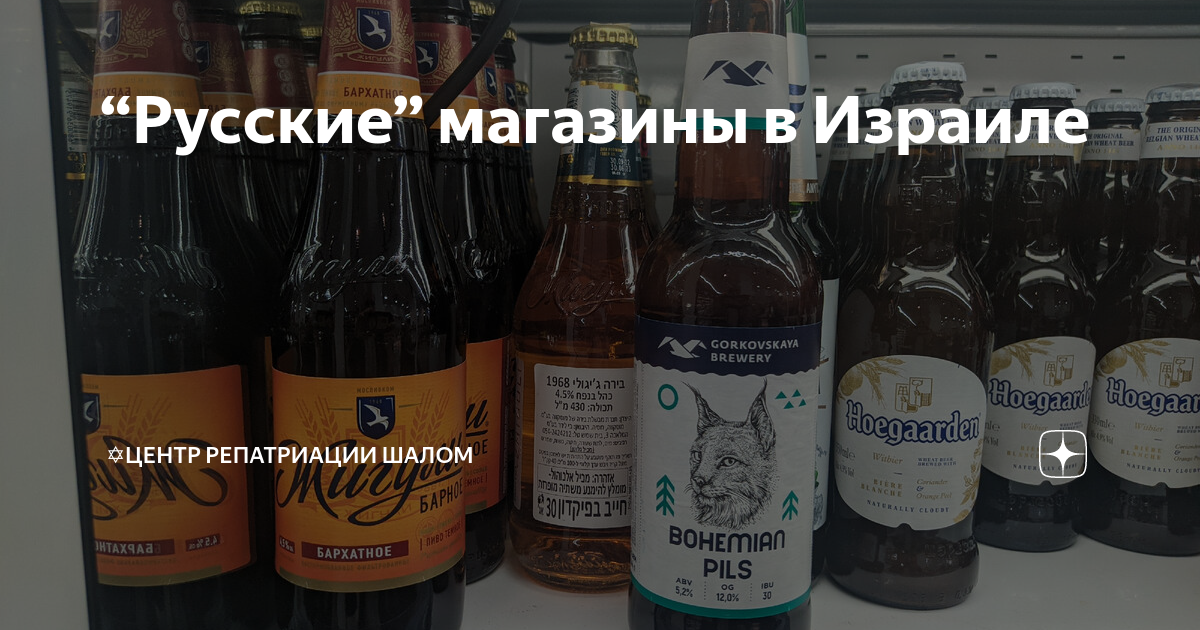 “Русские” магазины в Израиле | Центр репатриации «Шалом» | Дзен