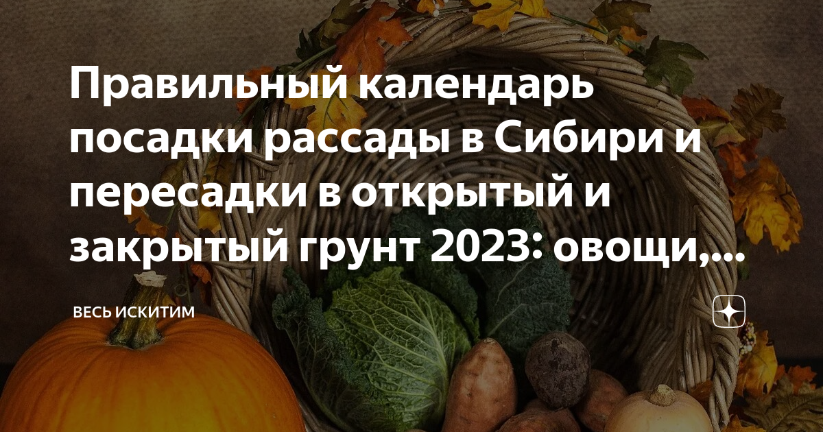 лунный посадочный календарь на 2021 год. посевной календарь садовода-огородника на 2021 год. поселочный лунный календарь. лунный календарь для посева в сибири. лунный календарь для посева в сибири.