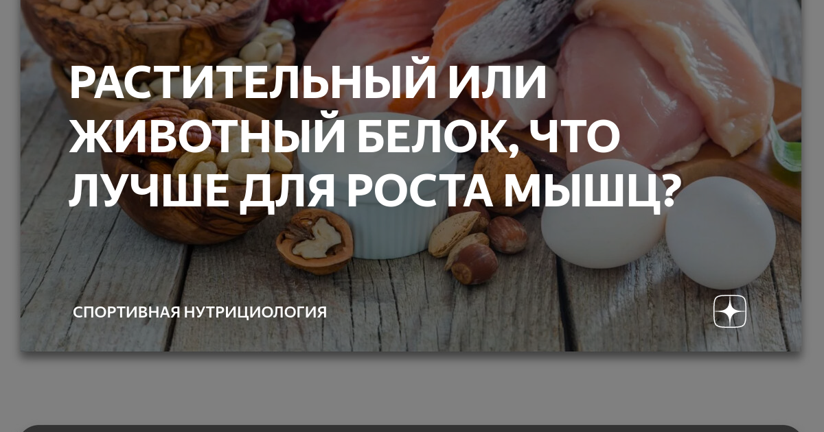 Вегетарианство и фитнес: можно ли нарастить мышечную массу без мяса