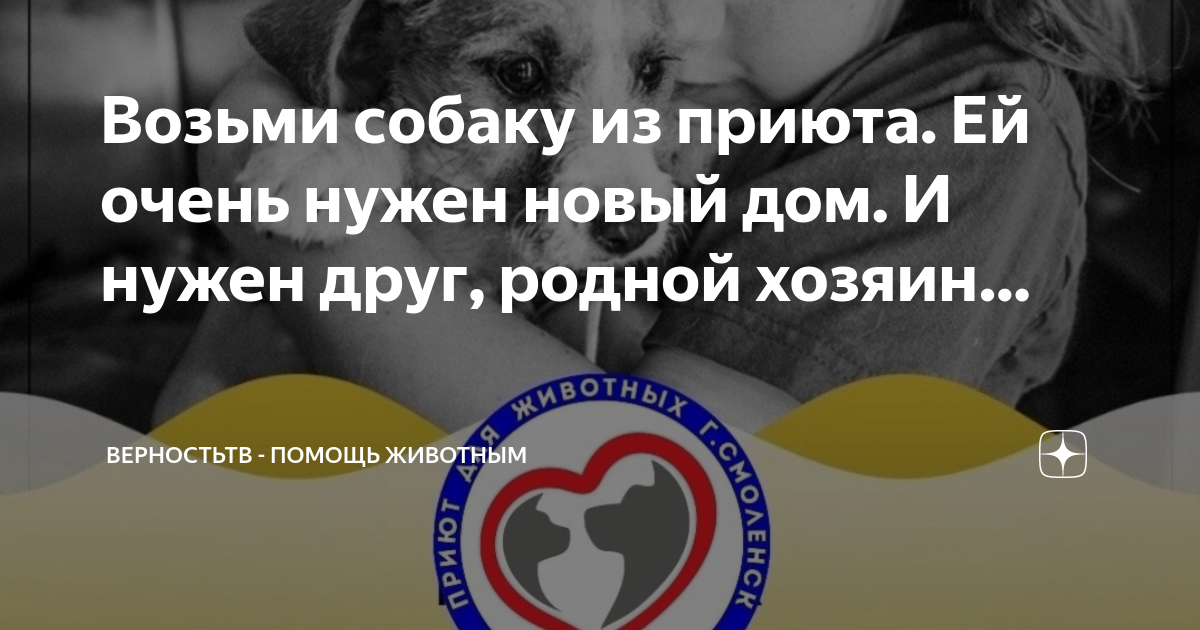 Верность тв спасение животных. Верность тв спасение животных. Верность тв спасение животных. Верность тв спасение животных. Верность тв спасение животных.