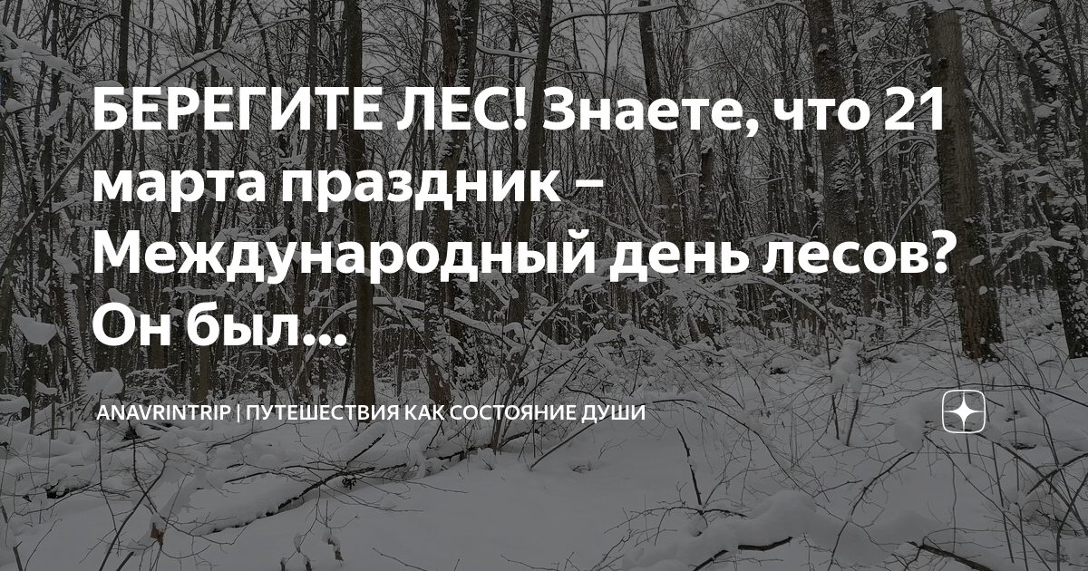 Почему у сосны нижние ветки отмирают. Рассказ о лесе. Стих я лес люблю. Может знает лес высоту небес. Лес и поля горы реки и моря даже небо и земля.