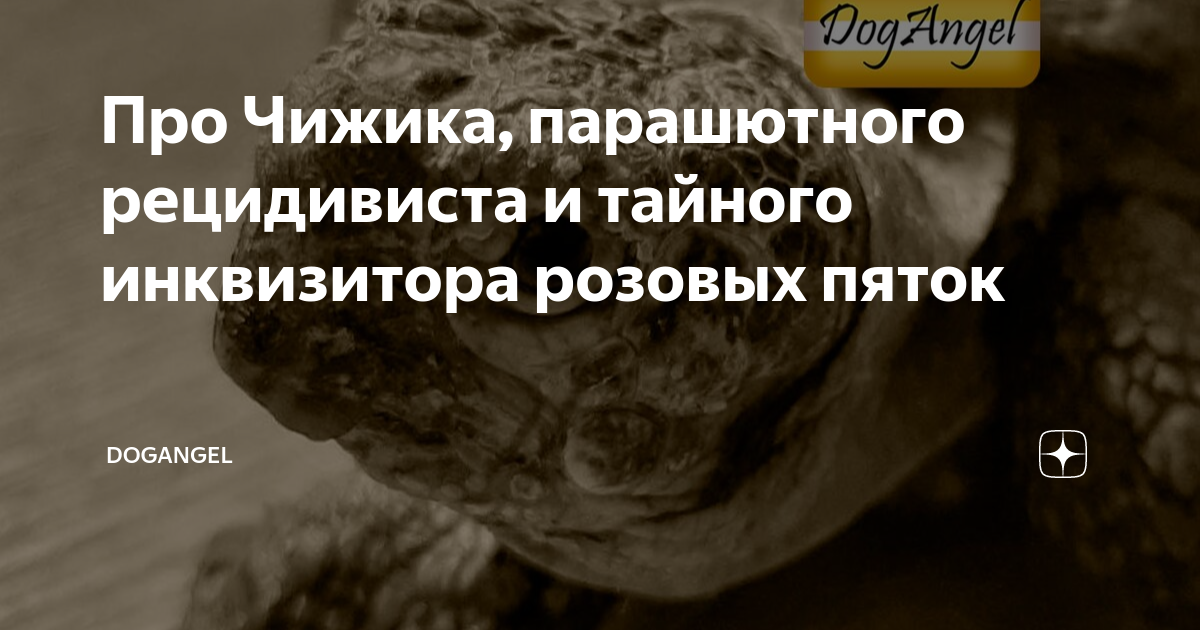 книга про ведьму и инквизитора