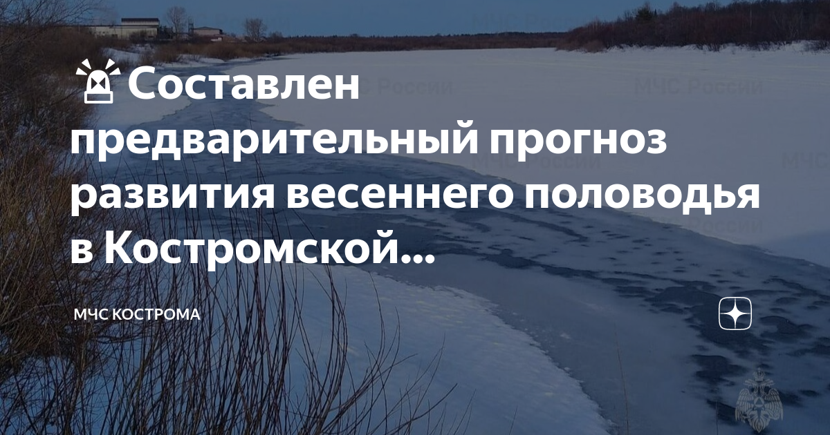 Спутниковые снимки половодья Кострома. Бобин фото МЧС Костромская область.
