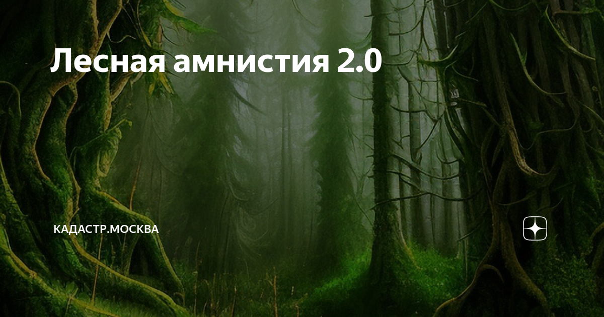 280 лесная амнистия. Лесная амнистия. Лесная амнистия картинки. 280 ФЗ Лесная амнистия. Пересечение лесов.