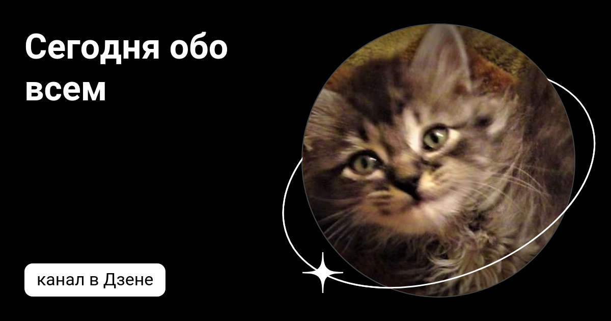 Все обо всем дзен канал. Обо всём. Все обо всем дзен канал. Все обо всем дзен канал. Все обо всем дзен канал.