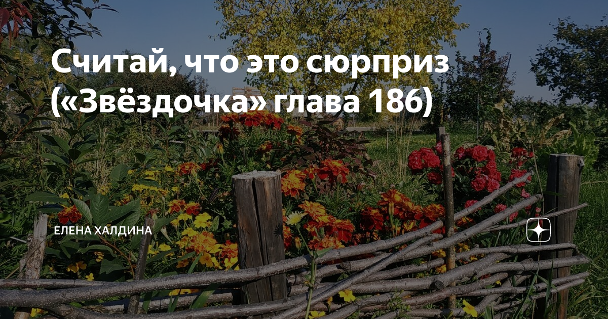 Звездочка глава 210 Елена Халдина. Звёздочка ещё не звезда Елена Халдина. Мать звезды и Звездочка Елена Халдина. Звёздочка ещё не звезда Елена Халдина последняя.