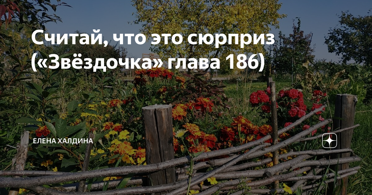 Звездочка еще не звезда глава. Звездочка глава 210 Елена Халдина. Звёздочка ещё не звезда Елена Халдина. Мать звезды и Звездочка Елена Халдина. Звёздочка ещё не звезда Елена Халдина последняя.