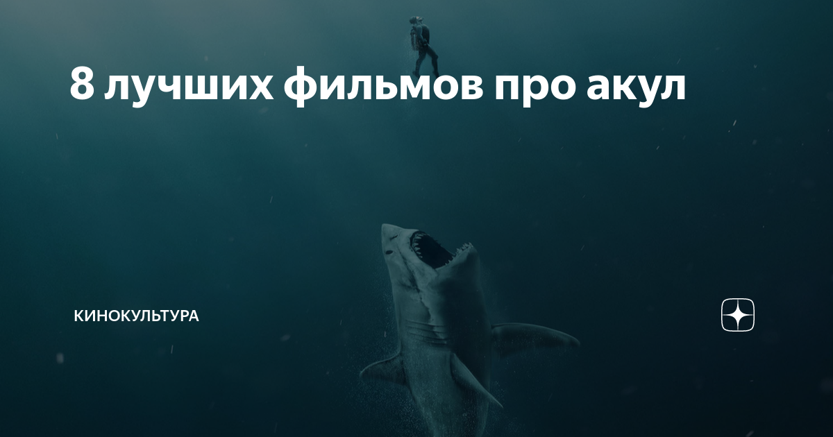 8 лучших фильмов про акул | Кинокультура | Дзен