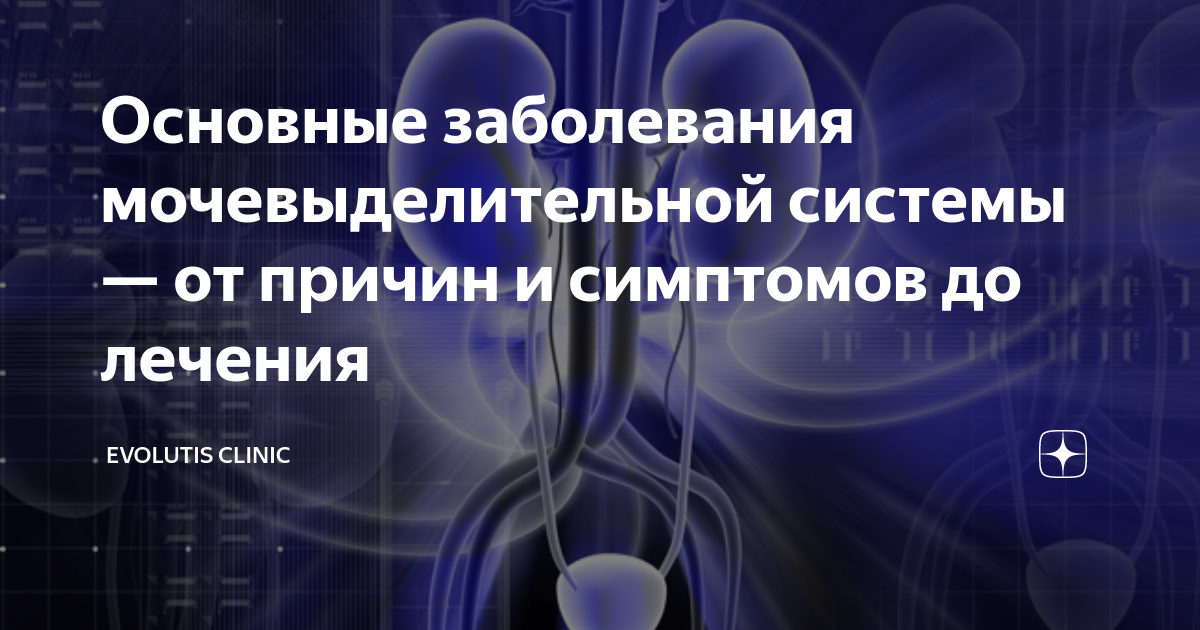Основные заболевания мочевыделительной системы — от причин и симптомов ...