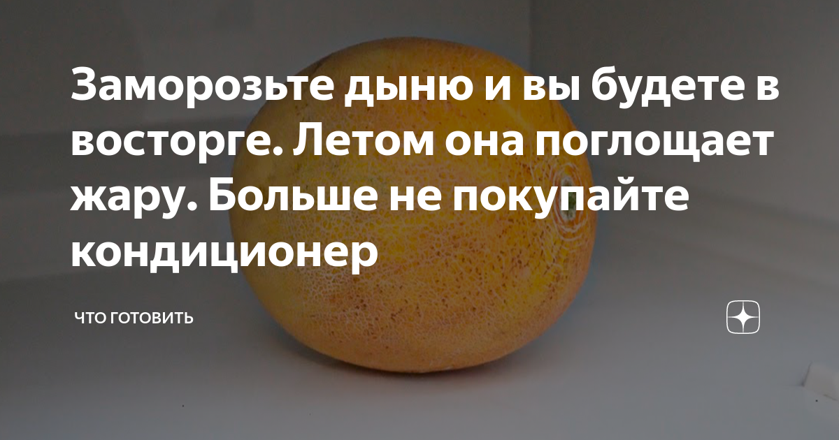 Можно ли морозить дыню в морозилке. Можно ли морозить дыню в морозилке