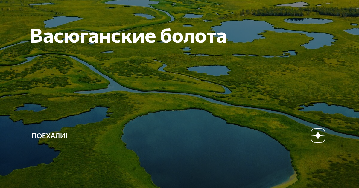 Васюганская равнина. Васюганские болота на карте Западной Сибири. Васюганские болота в Новосибирской области на карте.