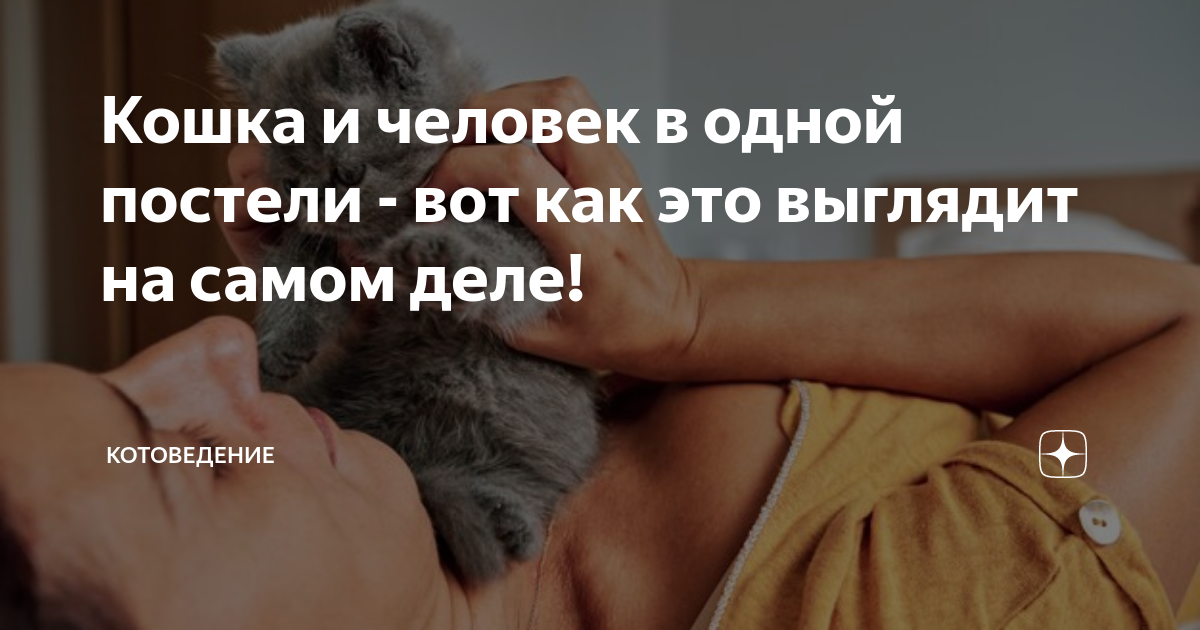 можно ли спать в коконе зевушка