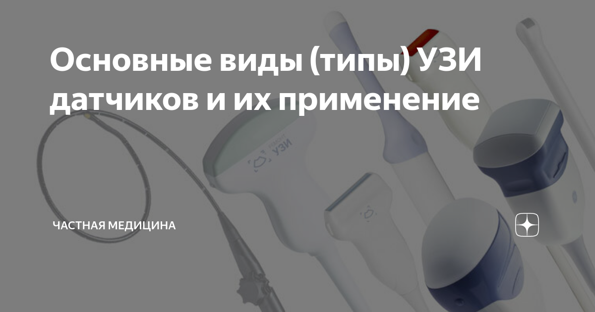 Основные виды (типы) УЗИ датчиков и их применение | Ultrasound Club ...