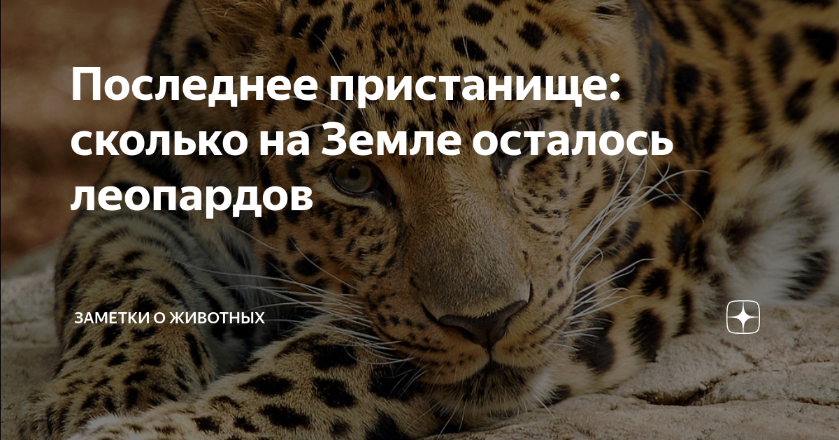 сколько живут с подагрой