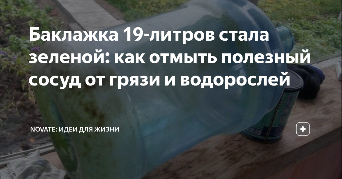 Баклажка 19-литров стала зеленой: как отмыть полезный сосуд от грязи и ...