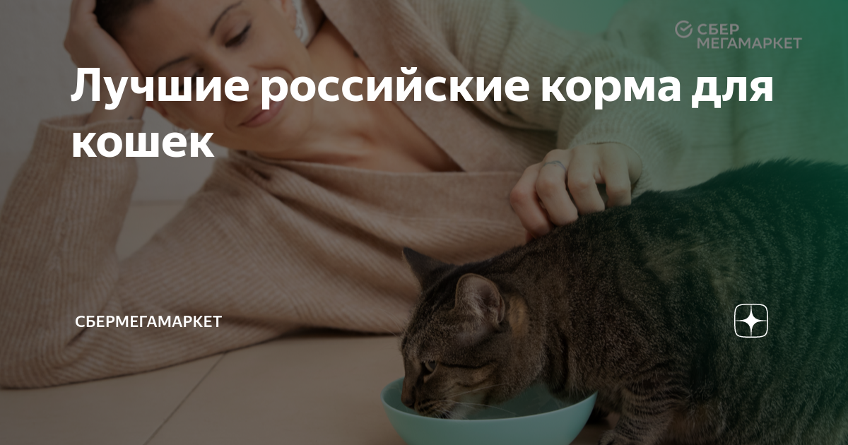 Лучшие российские корма для кошек | Мегамаркет | Дзен