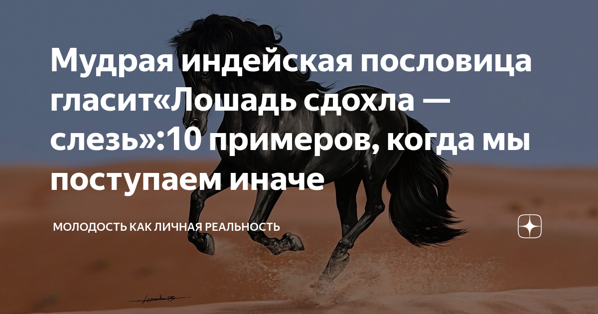 Поговорки про лошадь. Поговорки про коня. Пословица конь о четырех ногах. Пословица коню в не смотрят. Пословицы про лошадей.
