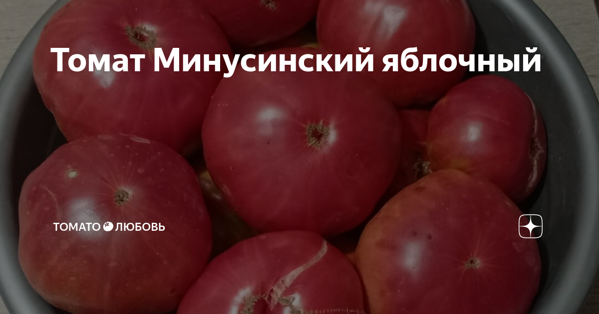 Томат Минусинский яблочный | Tomato🍅люб | Дзен
