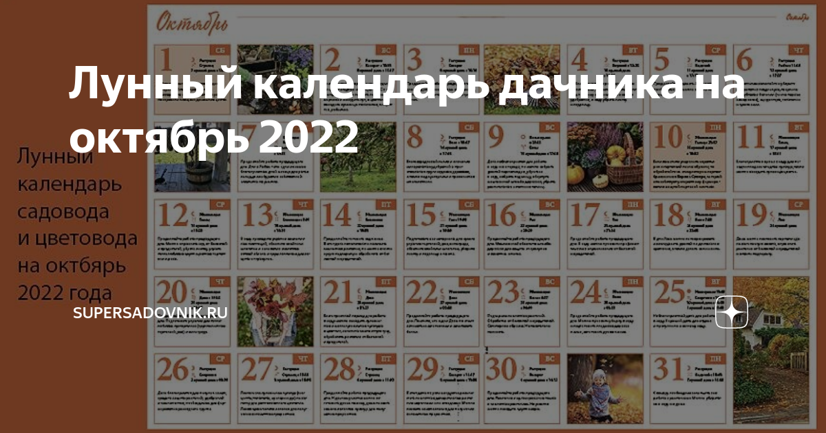 Перец на рассаду в 2025 году - найдено 75 картинок