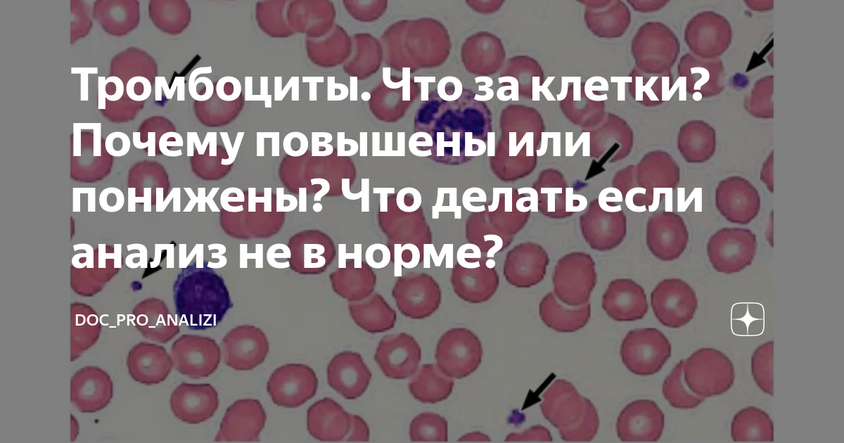 Тромбоциты. Что за клетки? Почему повышены или понижены? Что делать ...