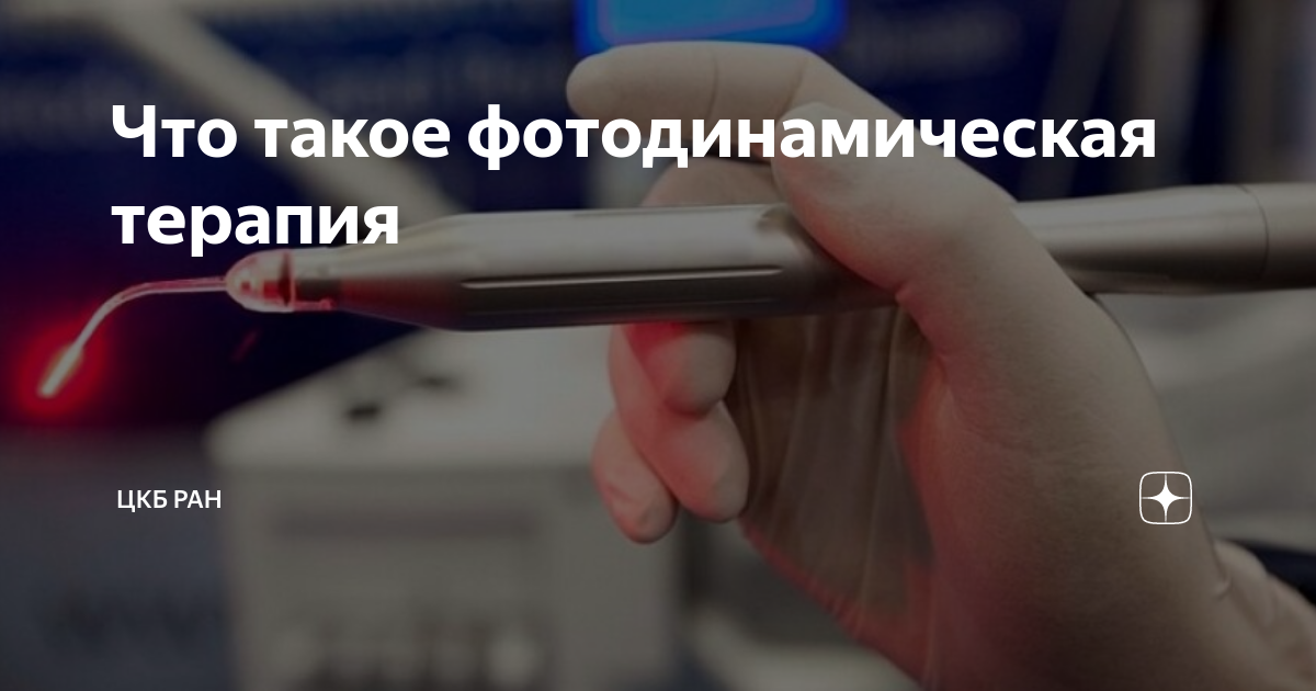 Что такое фотодинамическая терапия | НКЦ №2 (ЦКБ РАН) | Дзен