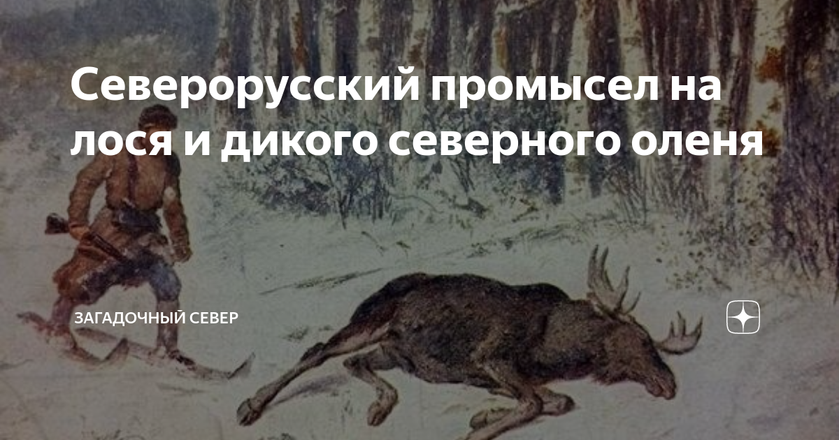 Северорусский промысел на лося и дикого северного оленя | Загадочный ...
