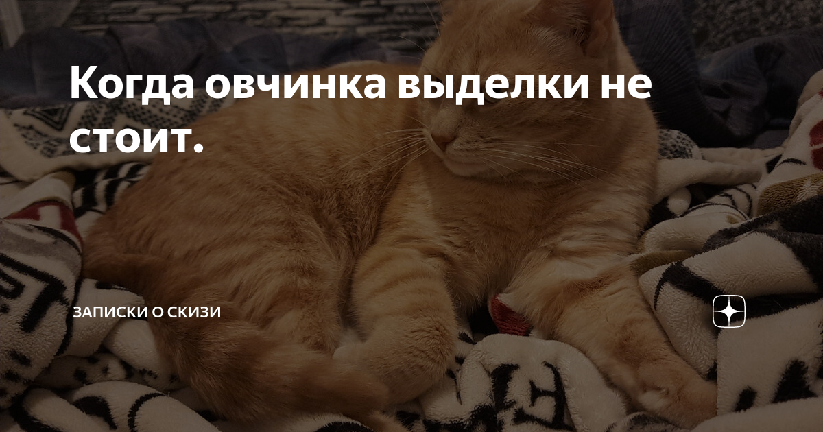 Когда овчинка выделки не стоит. | Записки о Скизи | Дзен